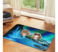 Natural Wonders Tapis d'alimentation pour chiens et chats - Absorbant et imperméable - Antidérapant - Séchage rapide - Protection du sol - Nappe en cuir