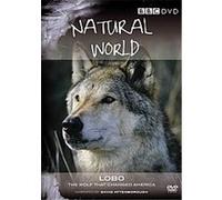 Natural World - Lobo - The Wolf That Changed America G