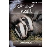 Natural World - Natural World Badgers Secrets of The Sett [Import anglais]