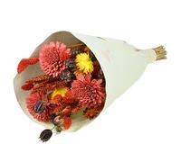NATURALYS-Bouquet de fleurs séchées Naturalys - Bouquet Sola S rouge - 50 cm