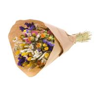 NATURALYS-Bouquet de fleurs séchées Naturalys mix multicolore XL - diamètre 25/30 x H 50 cm