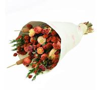 NATURALYS-Bouquet de fleurs séchées Naturalys Prestige rouge - diamètre 25/30 x H 50 cm