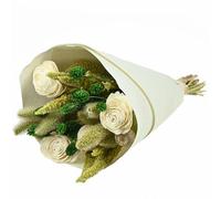 NATURALYS-Bouquet de fleurs séchées Naturalys Sola S vert et blanc - 50 cm