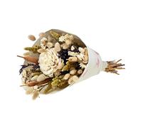 NATURALYS-Bouquet de fleurs séchées Sola L Champagne coloris beige - H 55 cm