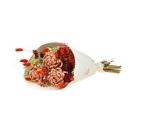 NATURALYS-Bouquet de fleurs séchées Sola M coloris orange - H 50 cm