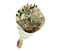 Naturalys - Bouquet de Fleurs séchées Vert 50 cm