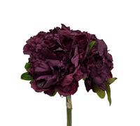 NATURALYS-Bouquet de pivoine fuchsia en papier aspect fleur séchée Naturalys - 30 cm