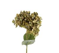 NATURALYS-Fleur artificielle en papier hortensia coloris vert - H 65 cm