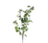 NATURALYS-Fleur artificielle en papier tige Eucalyptus coloris vert - H 88 cm
