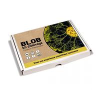 Naturalys Kit d'élevage Blob Physarum polycephalum