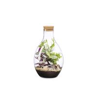 NATURALYS-Terrarium Garden Flor M Naturalys - diamètre 24,5 x 36,5 cm