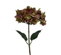 NATURALYS-Tige d’hortensia rose et vert en papier aspect fleur séchée Naturalys - 65 cm