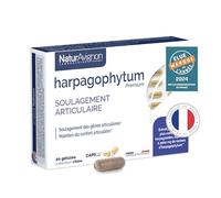 NaturAvignon Harpagophytum Gélules | Confort articulaire | Equivalent 3000mg de racine d' Harpagophytum + Vitamine D3 | complexe articulaire | Arôme naturel | 20 gélules à libération ciblée (20 jours)