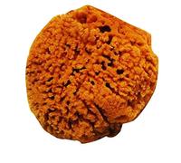 Naturcosmetika Éponge Honey Comb Extra douce Naturcosmetik 300 g