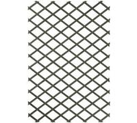 Nature Palissades de jardin 2 pcs Bois Vert 50 x 150 cm 276940