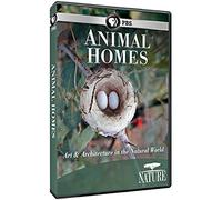 Nature: Animal Homes [Region 1]