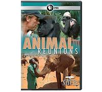 Nature: Animal Reunions Dvd