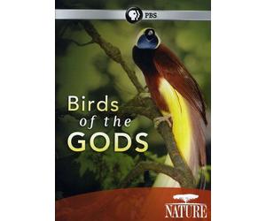 Nature: Birds of The Gods