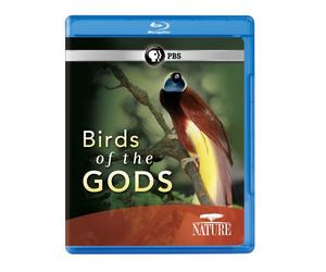 Nature: Birds of The Gods [Blu-Ray]