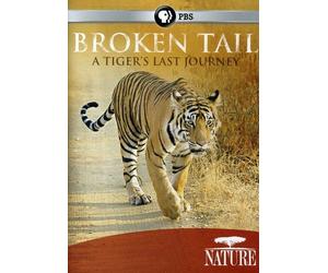 Nature: Broken Tail: A Tiger's Last Journey