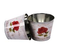 Nature by Kolibri Lot de 2 cache-pots en zinc Rouge 21 cm