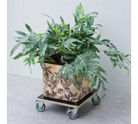 Nature - Chariot à plantes Carré 38x38 cm Bois Noir - Charge 250 kg