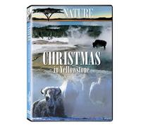 Nature: Christmas in Yellowstone
