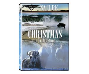 Nature: Christmas in Yellowstone