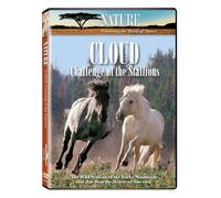 Nature: Cloud: Challenge of The Stallions