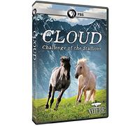 Nature: Cloud: Challenge of The Stallions (2016)