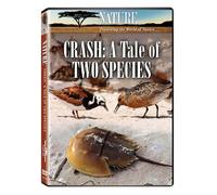 Nature: Crash - A Tale of Two Species – DVD – Zone 1 – Questar