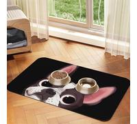 Nature du Boston Terrier,Tapis d'alimentation pour Animaux de Compagnie, Sets de Table en Cuir PU pour Chats et Chiens,40x60cm