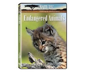 Nature: Endangered Animals