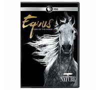Nature: Equus-Story of The Horse