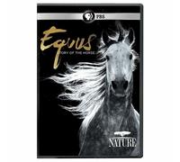 Nature: Equus-Story of The Horse