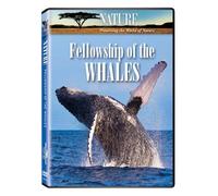 Nature: Fellowship of The Whales
