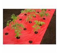 Nature Film de paillage TOMATES 6030260 - Longueur : 10 m Rouge