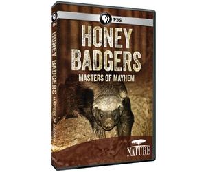 Nature: Honey Badgers: Masters of Mayhem