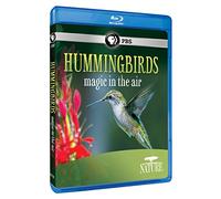 Nature: Hummingbirds: Magic in The Air [Blu-Ray]