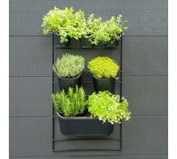 Nature Kit mural de jardin vertical