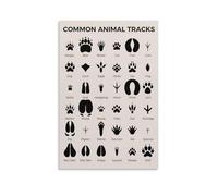 Nature Learning Educational Poster - Animal Tracks and Footprints Chart for Classroom, Homeschool and Wall Decor(Framed,12x18inch(30x45cm))