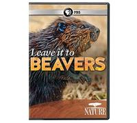Nature: Leave It To Beavers