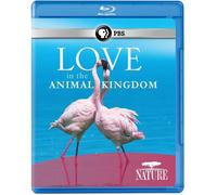 Nature: Love in The Animal Kingdom [Blu-Ray]