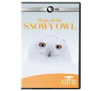 Nature: Magic of The Snowy Owl