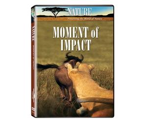 Nature: Moment of Impact