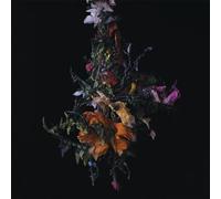 Nature Morte CD