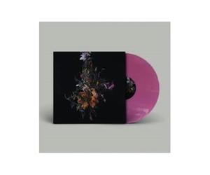 Nature Morte/Limited