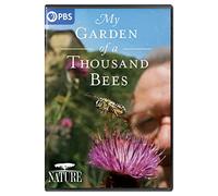 Nature: My Garden of a Thousand Bees