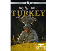 Nature: My Life as a Turkey