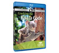 Nature - Nature: Cracking The Koala Code [Blu-Ray]